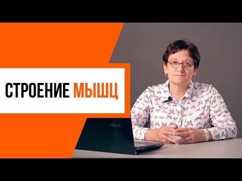 Видео: Строение мышц. Почему они сокращаются?
