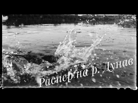 Видео: За распер на р. Дунав