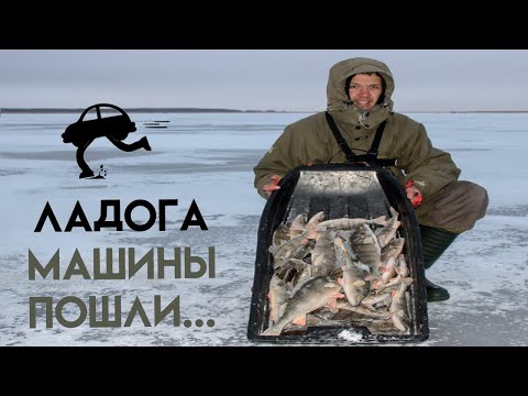 Видео: Зимняя рыбалка на Ладоге. Ловля окуня на блесну. Зимняя блесна