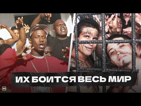 Видео: Самые ОПАСНЫЕ БАНДЫ в Мире