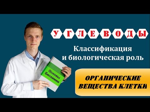 Видео: УГЛЕВОДЫ: классификация, строение, биологическая роль и функции | БИОХИМИЯ | БИОЛОГИЯ | ХИМИЯ