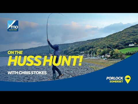 Видео: На охоте за Хассом! С Крисом Стоуксом