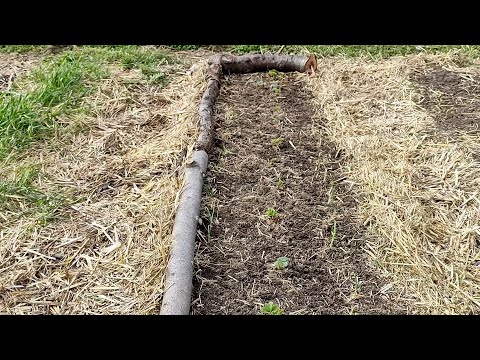 Видео: Совершенствование среды обитания. 9 серия