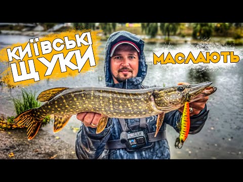 Видео: Щука на базі: твічинг щуки на Русанівці