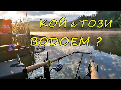 Видео: КОЙ е ТОЗИ ВОДОЕМ ? ЛОВИХ на СИЛИКОНОВ РИНГ - РИБНИТЕ ПЕЛЕТИ ги ПОДЛУДИХА / Carp Fishing