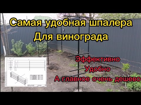 Видео: шпалера для винограда. дешёвый, удобный, эффективный вариант!