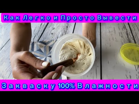 Видео: Как Легко и Просто Вывести Пшеничную Закваску 100% влажности