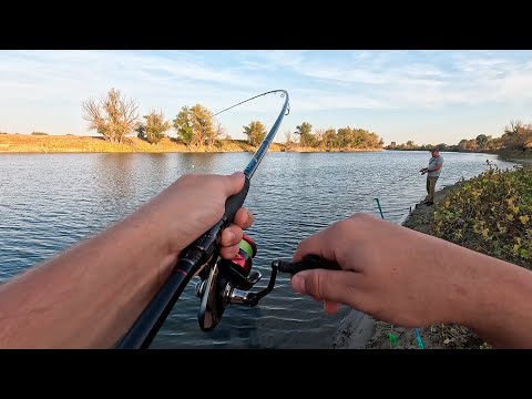 Видео: ЭТА ЯМА КИШИТ РЫБОЙ! Джиг и Макушатник – КЛЮЁТ НА ВСЁ КАК ИЗ ПУШКИ! | Рыбалка на спиннинг с берега