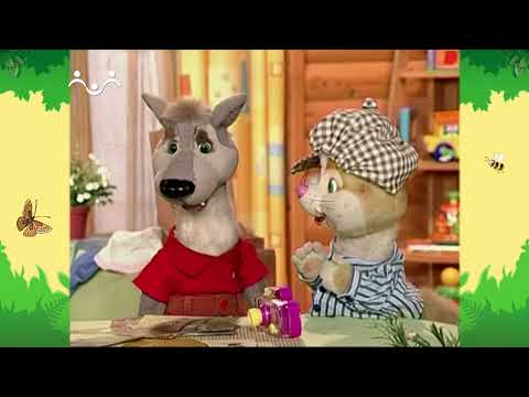 Видео: День в Шишкином Лесу. Совинформ. Птицы