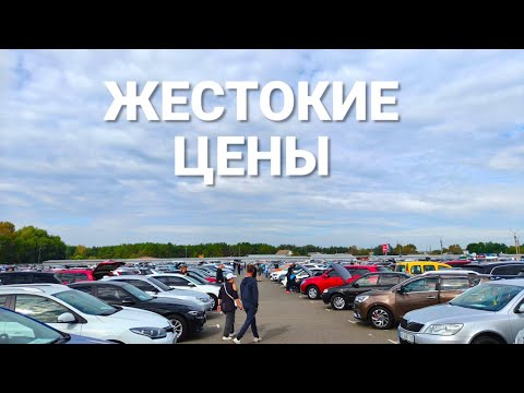 Видео: АПОКАЛИПСИС НАСТАЛ! Цены на авторынке КИЕВА ОСЕНЬ 2025 шокировали всех. Кто ВИНОВАТ и что делать?