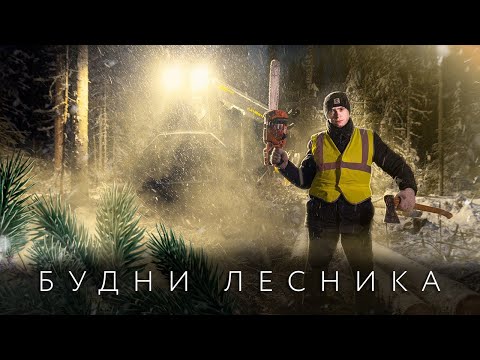 Видео: Лесозаготовка. Работа на харвестере и форвардере