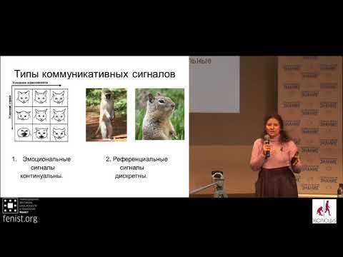 Видео: Светлана Бурлак. Возникновение языка в ходе эволюции человека