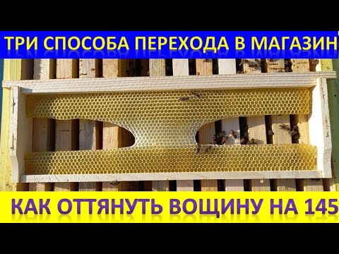 Видео: Три способа перехода пчел в магазин  Оттягиваем сушь на 145 рамке