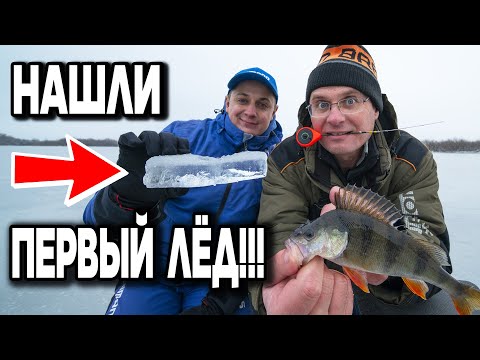 Видео: Дядя Фёдор и Женя Конюшевский нашли первый лёд!!! Выползли на него и поймали рыбу!!!