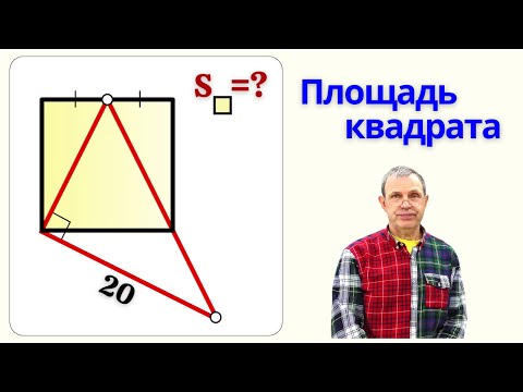 Видео: ОЛИМПИАДА ИЗ БЕЛГРАДА!