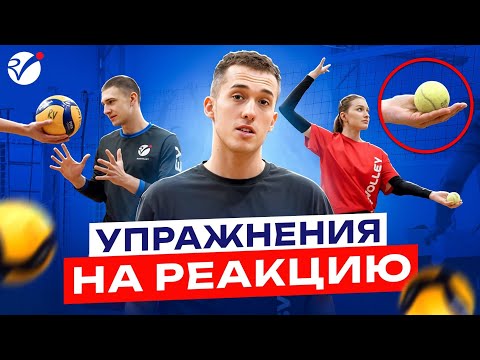 Видео: Тренировка реакции: основа успешной защиты и атаки