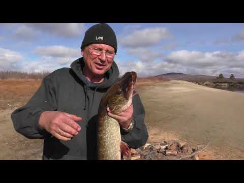 Видео: Тайные места на Нижней Ципе 1 Часть