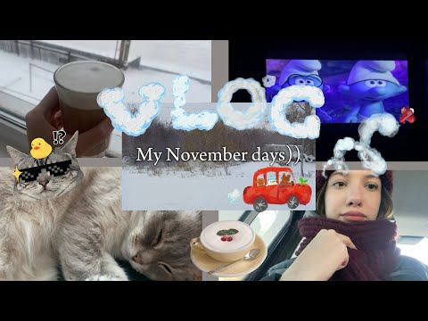 Видео: Vlog: мои ноябрьские дни ))