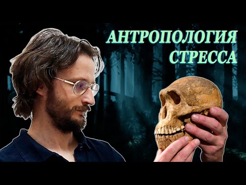 Видео: Антропология стресса - Станислав Дробышевский