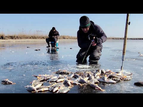 Видео: НАЛОВИЛИ МІШОК ОКУНІВ НА МІКРОН БАЛАНСИР. Зимова рибалка на окуня