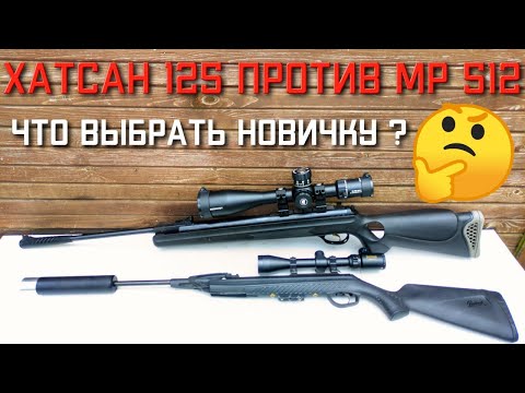 Видео: Какую пневматическую винтовку выбрать новичку Хатсан 125 или МР 512 #хатсан125 #мр512 #hatsan125