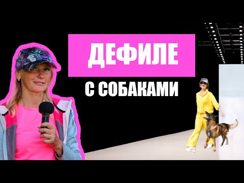 Видео: Дефиле с собаками - это возможно