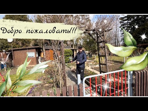 Видео: Наша ДАЧА / Планируем дачный участок/ Легкий макияж и укладка волос