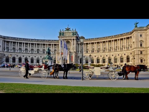 Видео: Весенние каникулы в Вене 2019г
