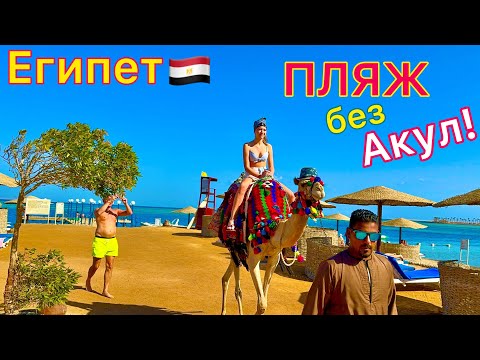 Видео: Египет 🇪🇬 ПЕРВАЯ ЛИНИЯ❗️ Море в ОТЕЛЕ Sea Star Beau Rivage 5*. ОТДЫХ в Хургаде БЕЗ акул