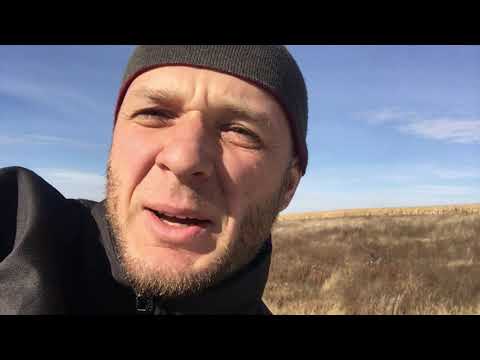 Видео: Мій косяк. ГСТ Lexion 600 частина №1