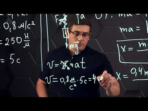 Видео: Сила упругости. Закон Гука. 10 класс.