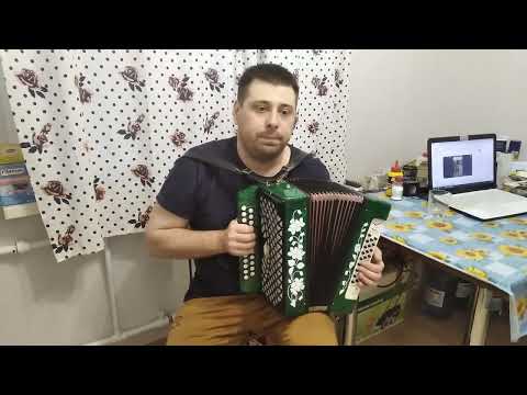 Видео: Гармонь Чайка 2 в продаже