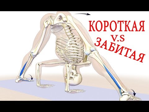 Видео: Короткая или Забитая Мыщца. В чем разница?