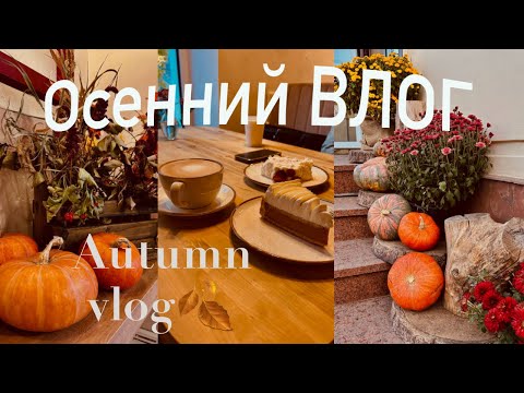 Видео: Осенний ВЛОГ,🍂гуляю, встреча с подругой, 🥮фикс прайс,Волжские термы,уютное видео #осень #уютныйвлог