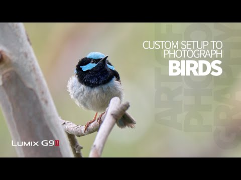 Видео: Фотосъемка птиц на LUMIX G9II