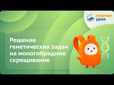 Видео: Решение генетических задач на моногибридное скрещивание. Видеоурок по биологии 10 класс