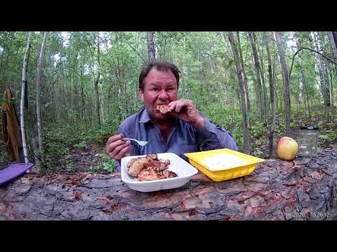 Видео: готовочка. пробный выход в лес...