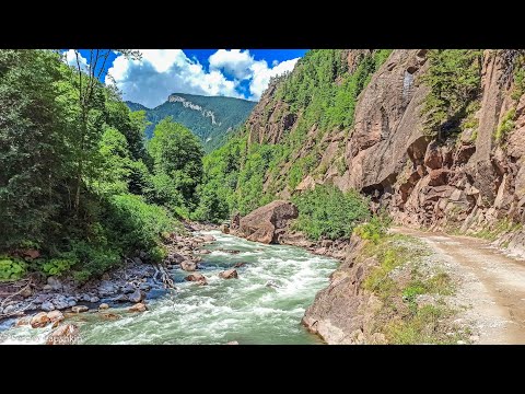 Видео: Ловля форели Река Лаба, путешествие на Кавказ.