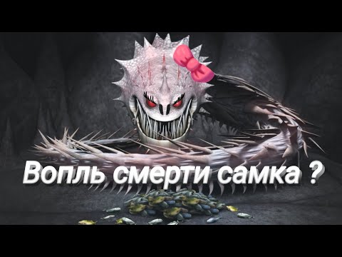 Видео: Драконьи спекуляции! Вопль смерти - самка?