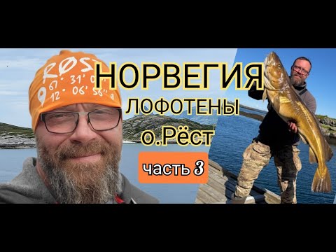 Видео: Рыбалка в Норвегии. Лофотены. о. Рёст 3я серия