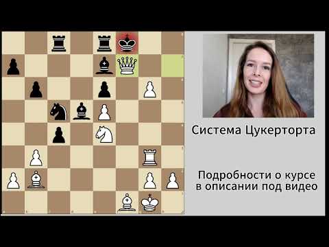 Видео: Полное видео, как научиться играть Систему Цукерторта!