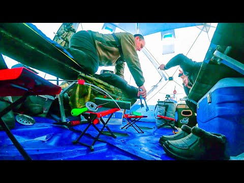 Видео: ВЫКОРМИЛИ И ОН ПРИШЁЛ! На улице метель, а в палатке уютно как дома. Рыбалка с КОМФОРТОМ!