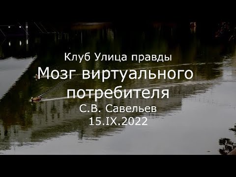 Видео: С.В. Савельев - Мозг виртуального потребителя