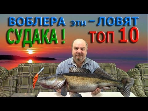 Видео: ВОБЛЕРА эти - ЛОВЯТ СУДАКА ! ТОП - 10