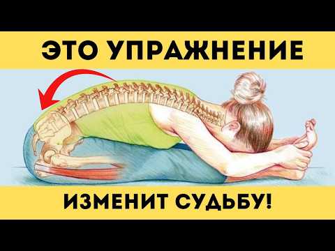 Видео: 3 минуты! РАСТЯЖКА для НОГ с ПОЛЬЗОЙ для СПИНЫ!