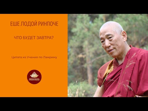Видео: Что будет завтра?