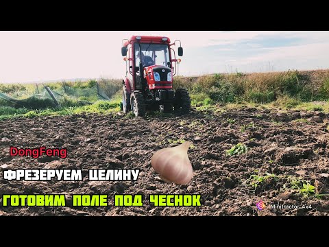 Видео: ФРЕЗЕРУЕМ ЦЕЛИНУ !! DongFeng 244 G2 готовим поле под чеснок 🧄