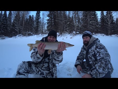 Видео: Река в тайге «Южная Кельтма» рыбалка на жерлицы #1