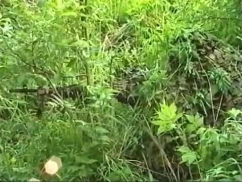 Видео: Спецназ ВДВ. Совершение налета на объект противника.