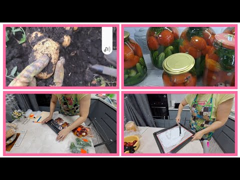 Видео: КАПНУЛи первую КАРТОШКУ🥔ЗАГОТОВКИ🍎🍅🥒БЕЗЕ для ТОРТА